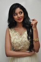Sanam Shetty Photos at Srimanthudu Audio Release